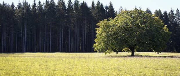 เพิ่มมูลค่าที่ดินเปล่า